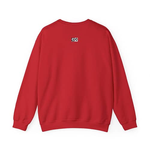 Fast Flash Unisex Sweatshirt. Buy now on cartoon clothings. website: www.cartoonclothings.com
