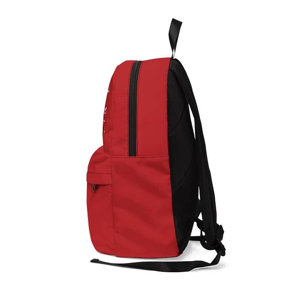 Flash Unisex Backpack. Shop now on cartoon clothings. Buy now on www.cartoonclothings.com